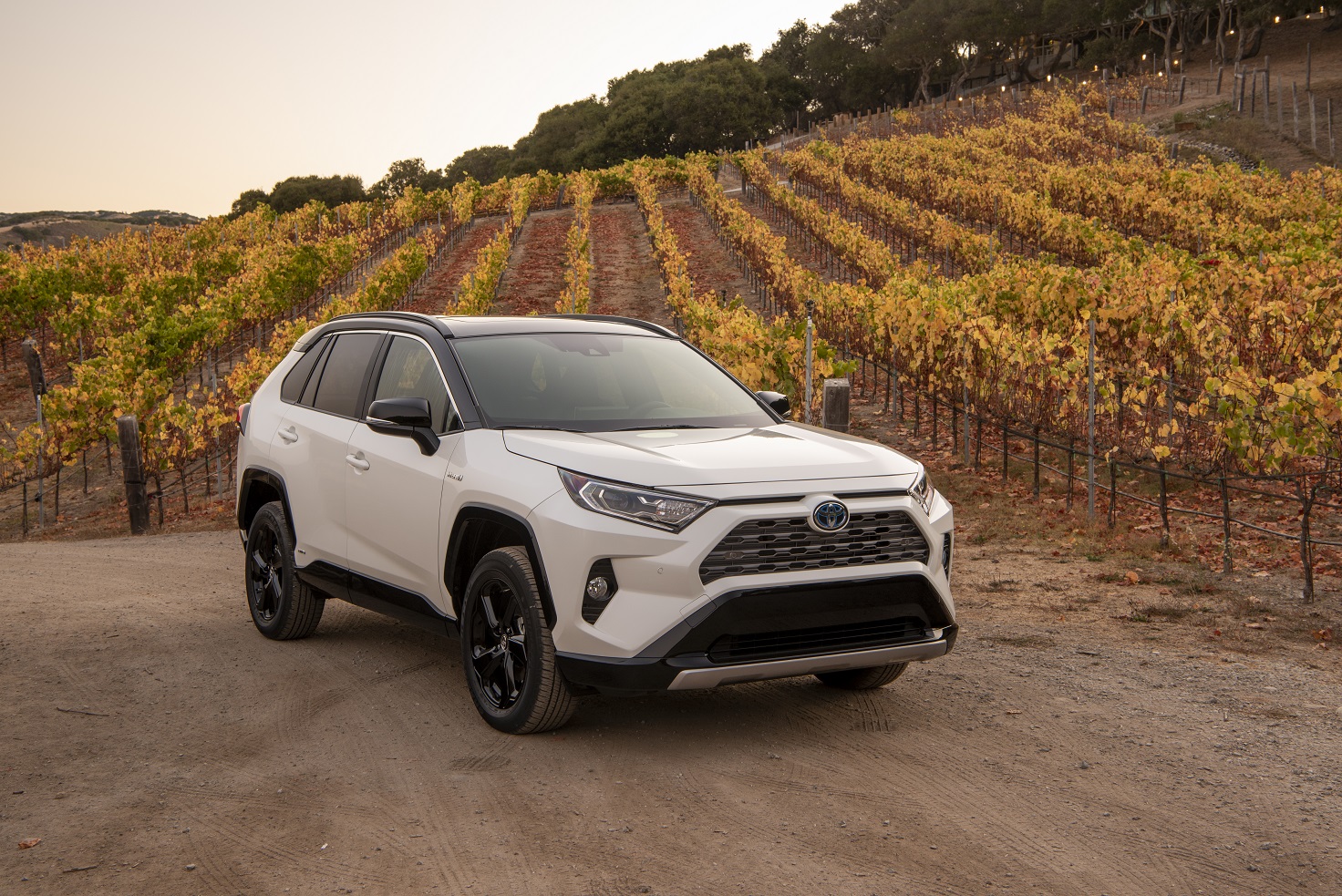 Electrify Your Life With The All-New 2019 Toyota RAV4 Hybrid – the advanced  compact SUV at an attractive price