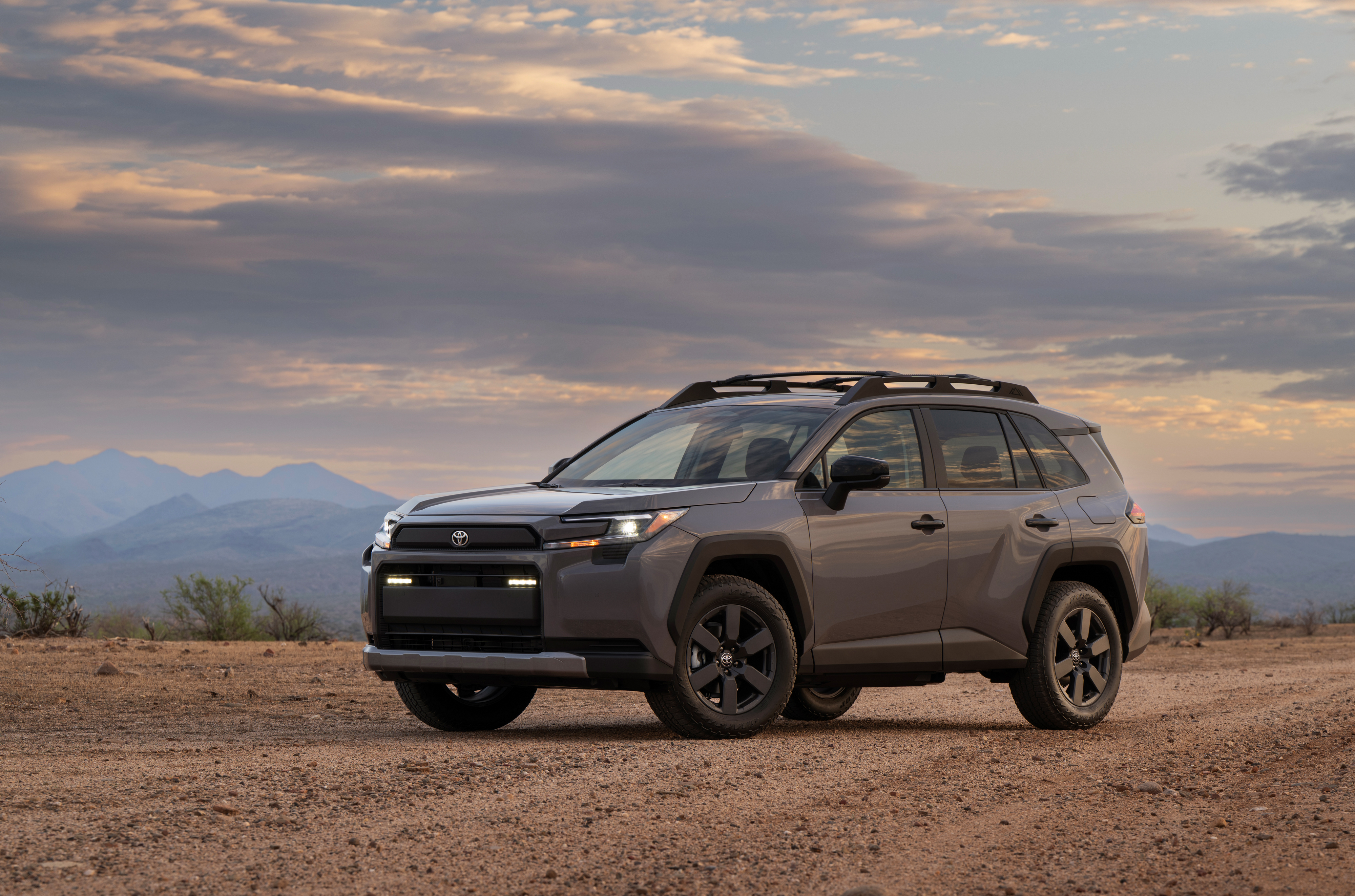 2026 RAV4 Woodland